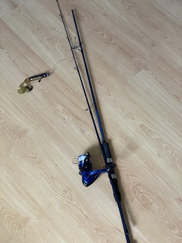 Canne daiwa dwave 702hfs - canne,