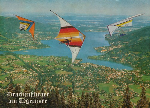 Carte postale cerf volant - carte, au