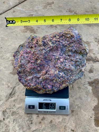 Rare live rocks - rare,