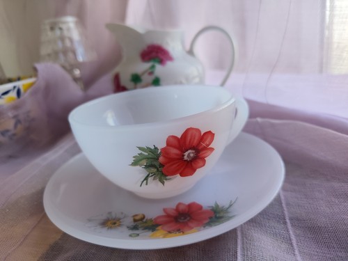 Service arcopal marguerite - arcopal, "marguerite"