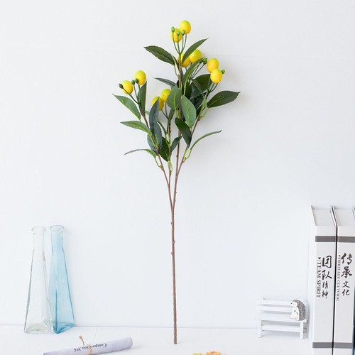 Citron branche décorative - citron,