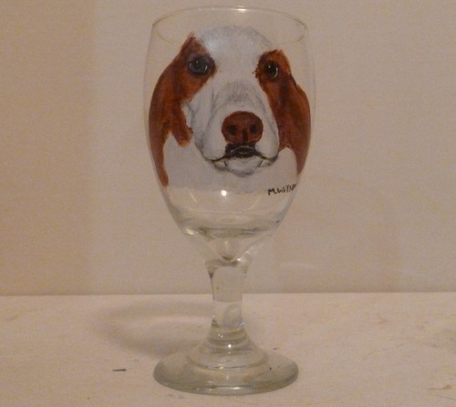 Brown white basset - brown, dog