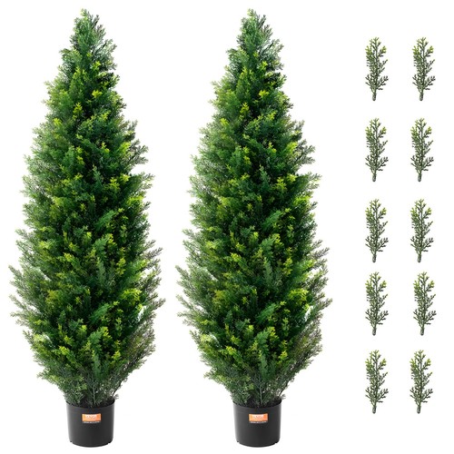 Uimoso lot plantes - uimoso,