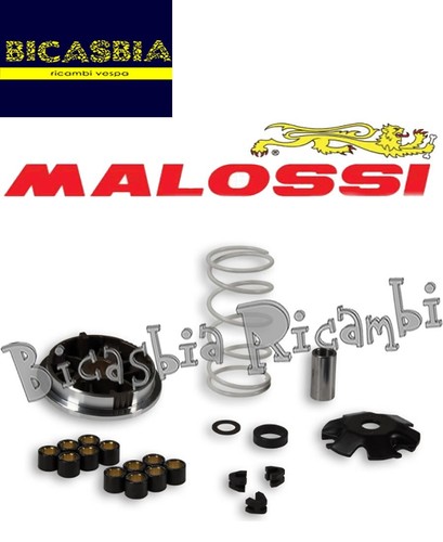 19151 variateur malossi - -,