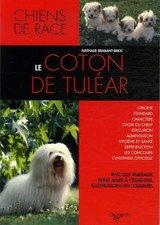 Le Coton de Tuléar -
