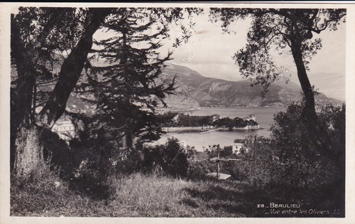 Carte postale postcard - 🦬carte,