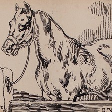 Joseph Simon Volmar Horse Study Animal Painting Unique Ink Drawing 1852