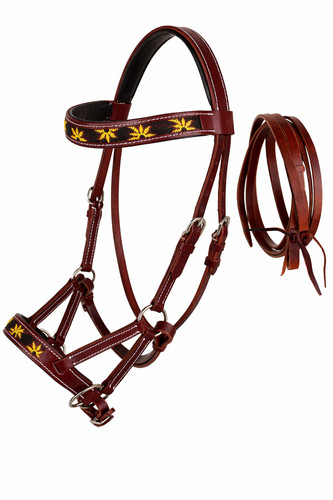 Horse western leather - leather, beaded