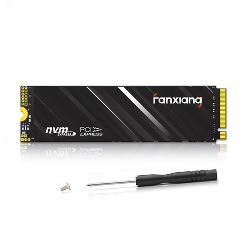 Fanxiang nvme ssd 128go - m.2,