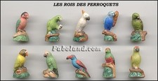 DVO9 LES PARROQUETS
