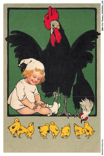 Bbrp12 0674 animaux poule - bbrp12-0674-animaux,