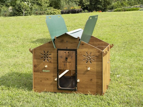 Poulailler poules 4 - 8/12,