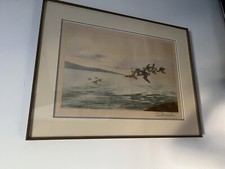 Gravure Léon Danchin Canards 