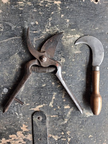 Outillage jardinage outil
