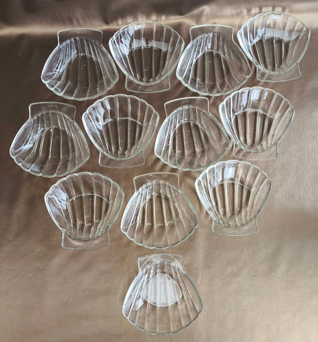 Coquilles saint jacques en - 12,