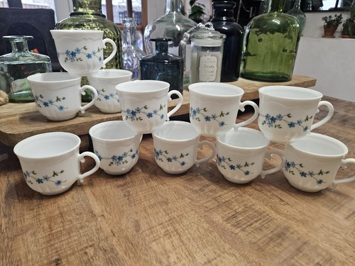 Lot tasses myosotis - 12,
