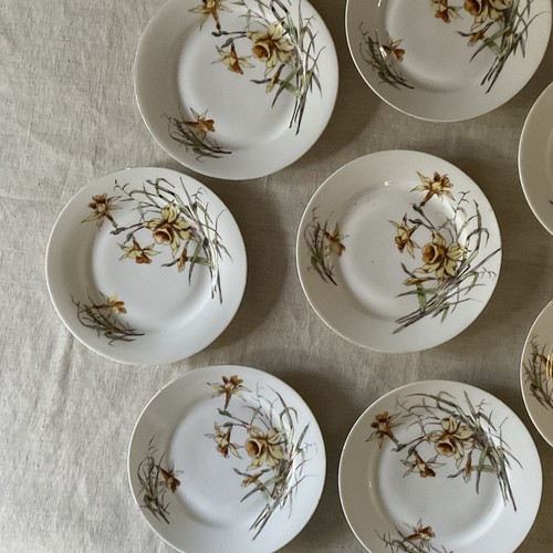Petites assiettes dessert - petites,