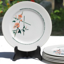Lot 6 assiettes plates en