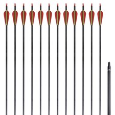 12x Flèches Standard Carbone