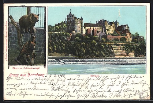 Bernburg ours dans chenil - bernburg,, le
