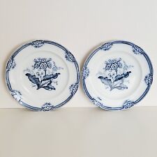 2 Antique Moss Rose J. Ridsway English Porcelain Plates 