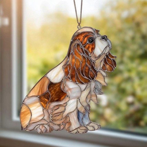 Cavalier king charles spaniel - king,