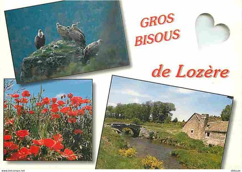 Carte postale lozère - postale,