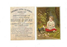 chromo pub. chicorée Delfosse
