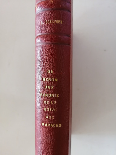 Livre sur les oiseaux sauvages - sur,