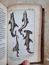 Marcus Bloch Histoire