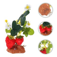 Décoration De Terrarium