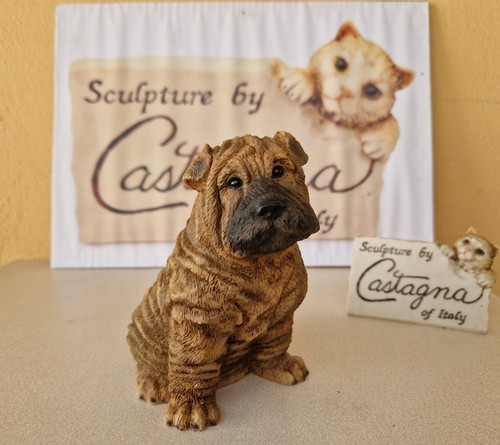 Castagna chiot shar - chiot, "shar-pei"