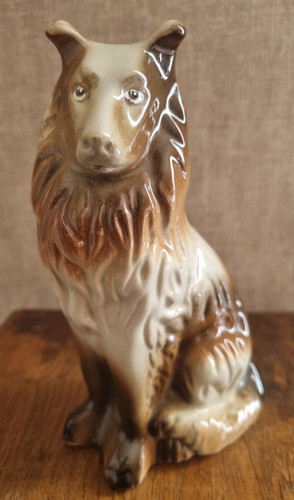 Grand chien colley lassie - colley,