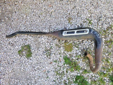 COLLECTEUR ECHAPPEMENT SUZUKI TS 50 ET ER21 LIRE L ANNONCE SVP