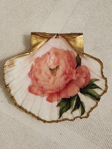 Coquille saint jacques - saint,