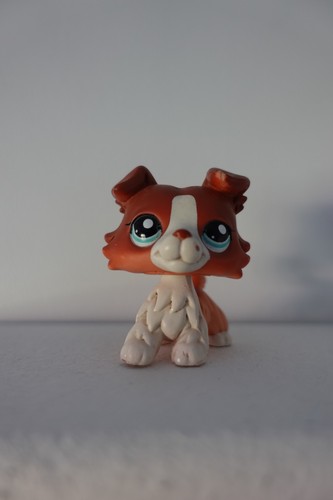 Littlest petshop lps - littlest,