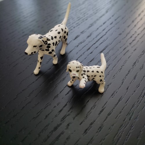 Famille chiens dalmatiens - famille, de