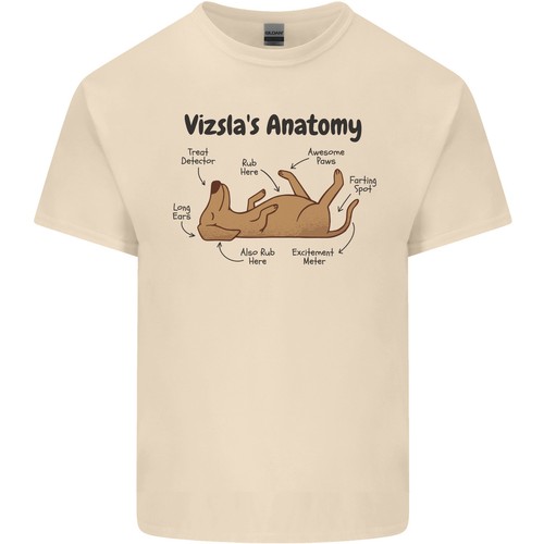 Anatomie drôle vizsla - drôle,