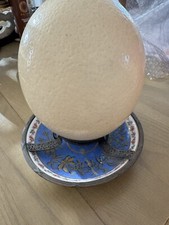 Joli oeuf d'autruche bel objet de cabinet de curiosité 15cm X 12cm Sur Support