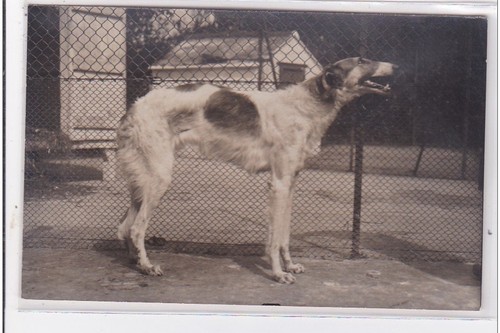 Cyprien carte photo - carte,