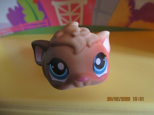 Petshop cochon inde 1418 - petshop, #1418