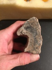 CJ—Crystalline Petrified