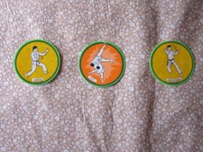lot 3 AUTOCOLLANTs STICKER judo karate nunchaku