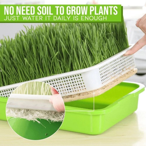 Ces plastique vert - pi��ces,