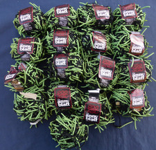 17 pelotes 50 g Latex