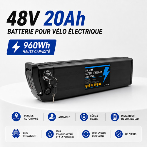 Batterie lithium 36v 48v - 36v, 20ah