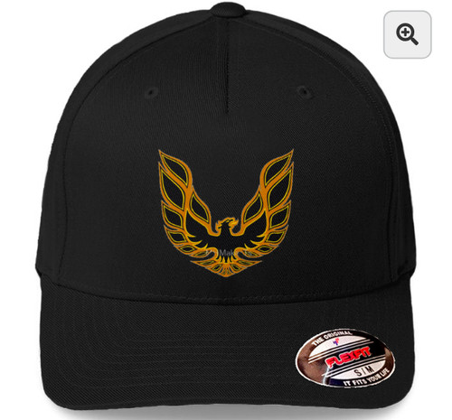 Pontiac firebird graphic logo - graphic,