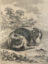 Beautiful Antique 18th Century Hunting Dog Jacques Philippe Le Bas DESPORTES Art Engraving