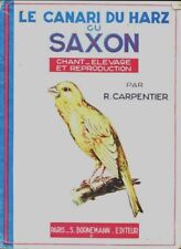 Le canari du harz ou saxon -
