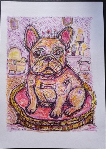 Dessin chien bouledogue - dessin,